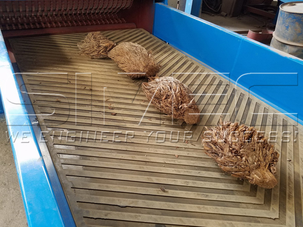 Raw-material-palm-efb-get-into-the-chopping-machine