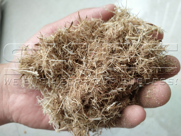 crushed-dry-palm-efb-fiber