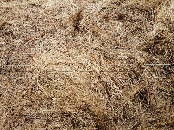 dry-palm-efb-fiber-raw-material