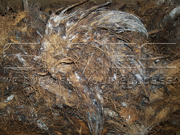 fermented-palm-efb-fiber-raw-material