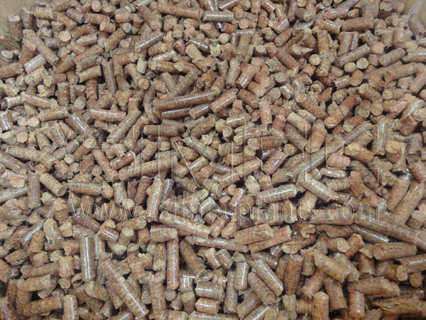 Biomass Pellet