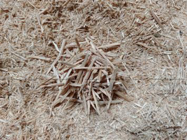 needle-like-eucalyptus-wood-chips-after-size-reduction-10mm