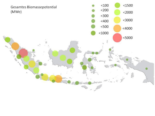 Gesamtes-Biomasspotential