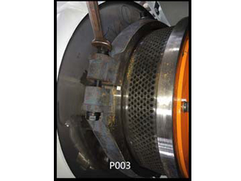 P003