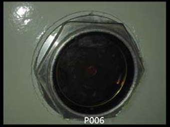 P006