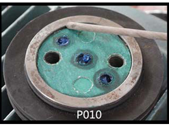 P010
