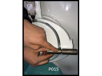 P015