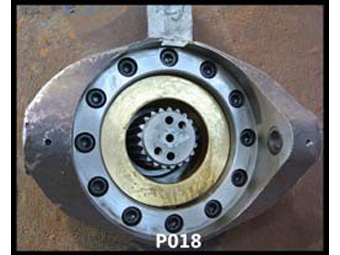 P018