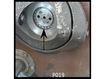 P019