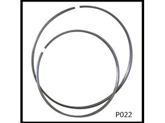 P022