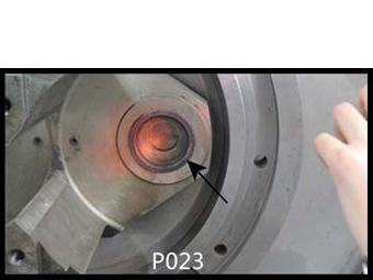 P023