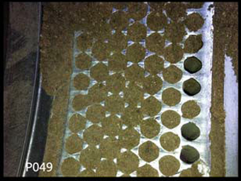 P049