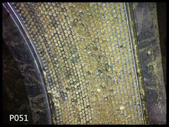 P051