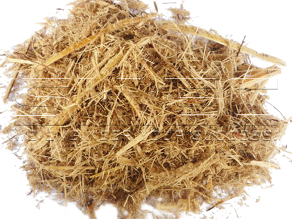 Raw-Sugarcane-Bagasse