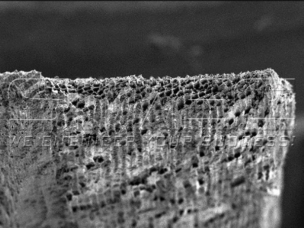 bana-grass-charcoal-under-the-microscope