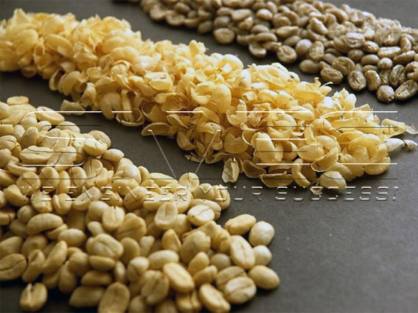 coffee-bean-and-parchment