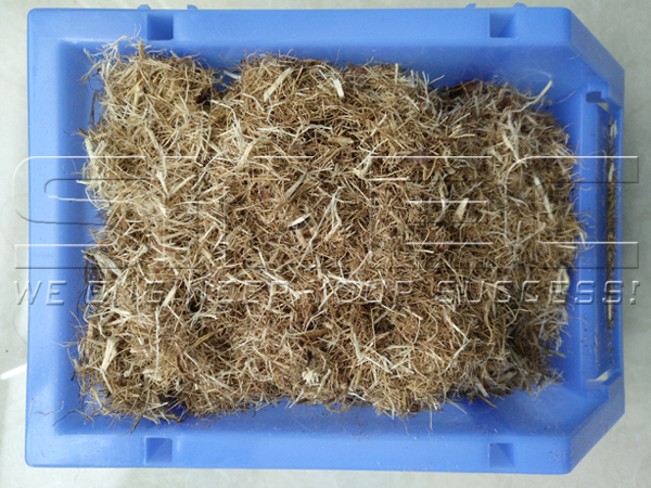 crushed-palm-efb-fiber