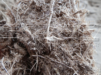 dryed-bagasse-fiber