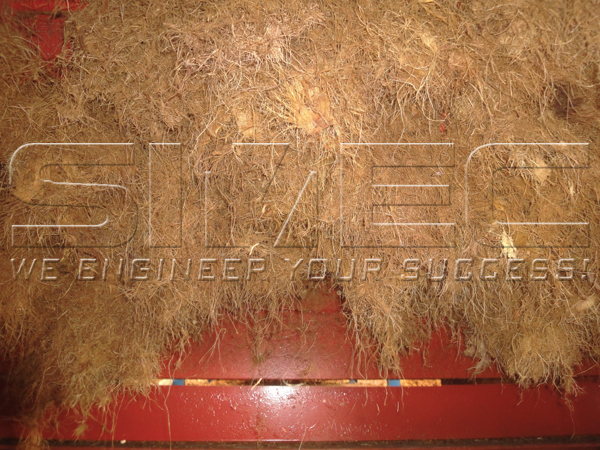 efb-being-chopped-by-simec-chopping-machine