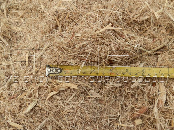 initial-bagasse-size