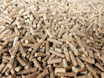oil-palm-trunk-pellet