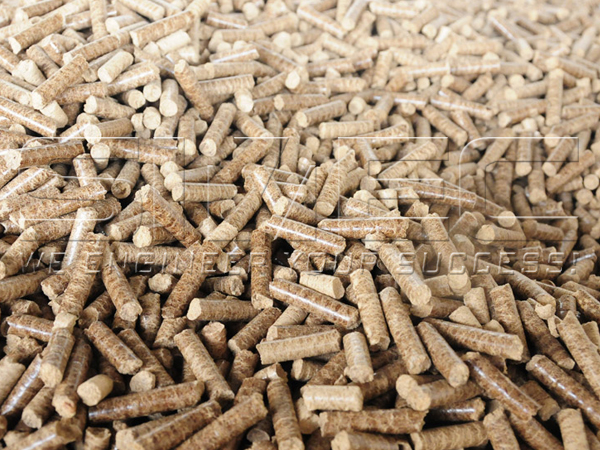 oil-palm-trunk-pellets