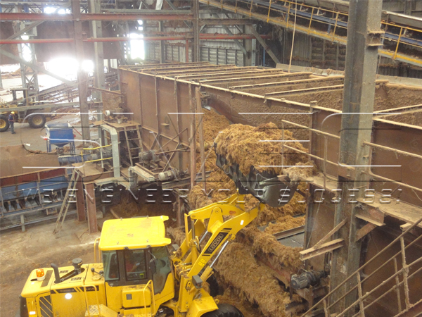 palm-efb-feeding-in-biomass-power-plant
