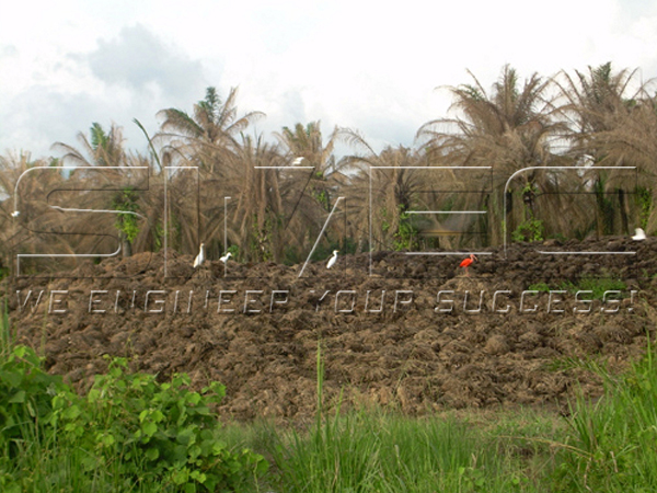 palm-efb-in-plantation