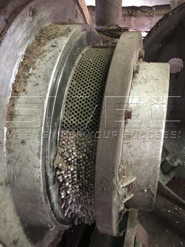 palm-efb-pellet-machine-ring-die-on-site