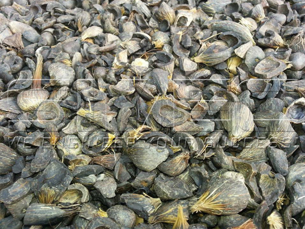 palm-kernel-shell