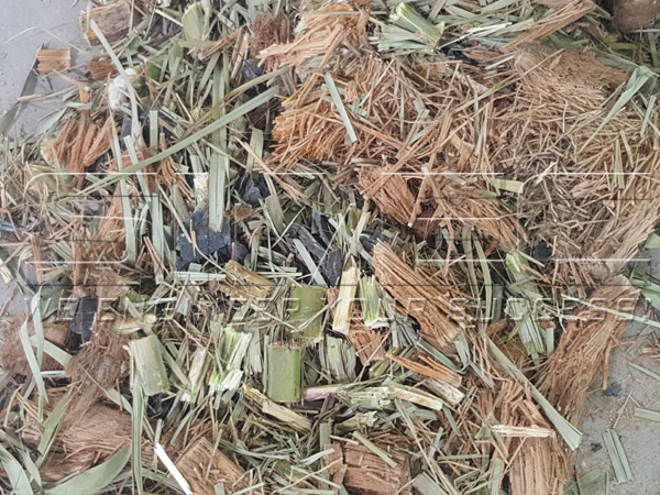 palm-leaves-and-trunk-being-shredded