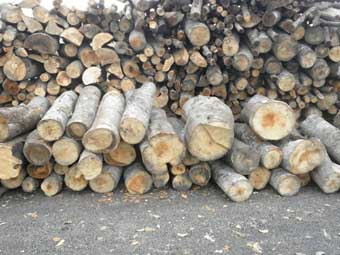 Logs