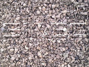 renewable-clear-energy-biofuel-pellet-4