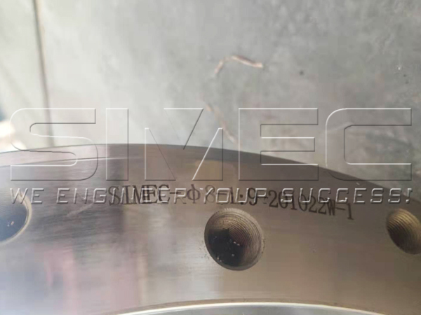 SPM520 Pellet Mill Ring Die 1