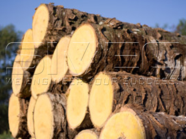 wood-oil-palm-trees